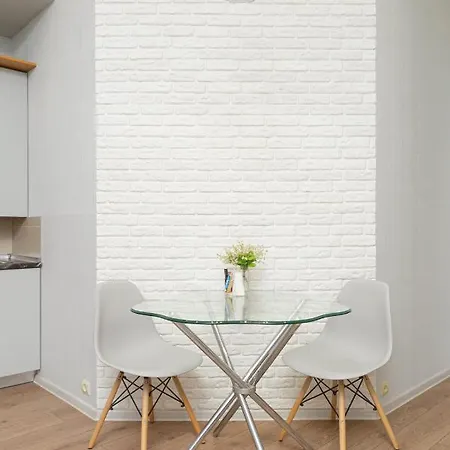 Zhukovskogo 17 Appartement